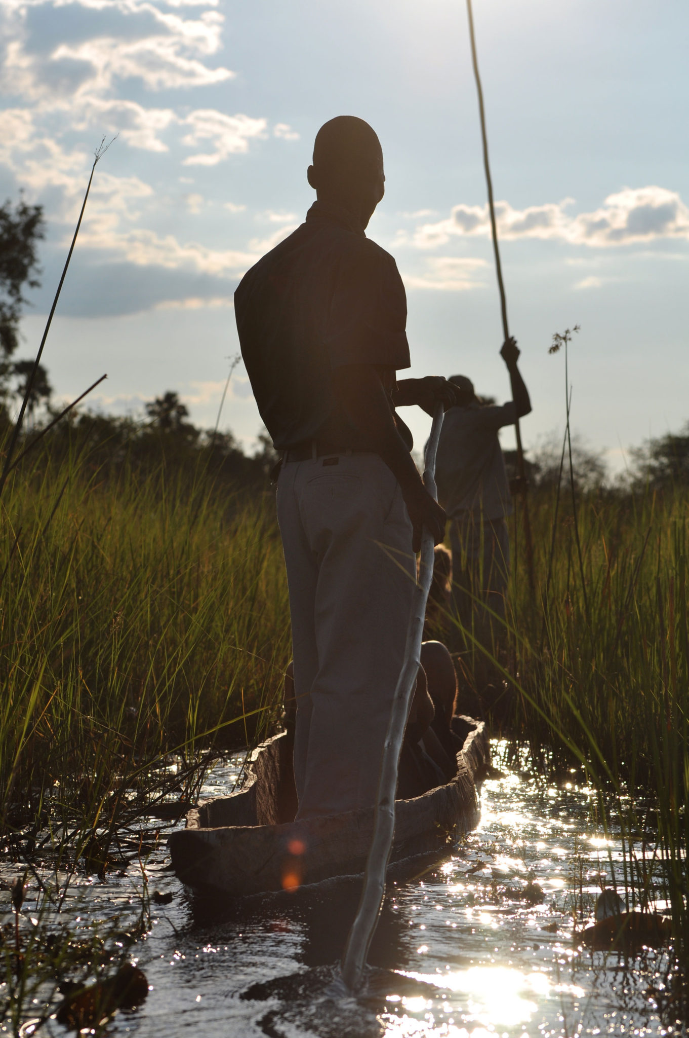 Mokoro Trips In The Okavango Delta